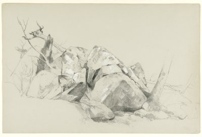 Study of Rocks, 1863 (grafiitti ja valkoinen guassi harmaalle paperille) tekijältä Asher Brown Durand